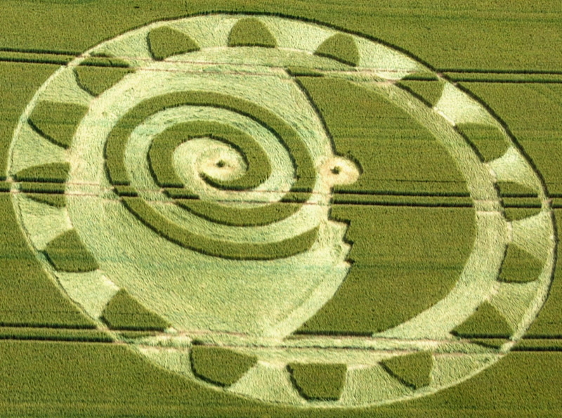 Illustration for article titled The Most Astonishing Crop Circle Artworks of 2014